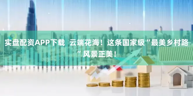 实盘配资APP下载  云端花海！这条国家级“最美乡村路”风景正美！
