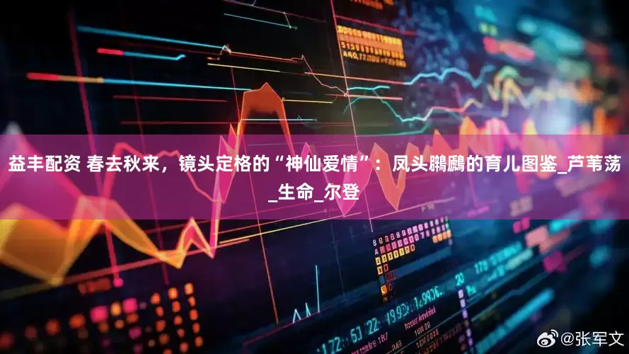 益丰配资 春去秋来，镜头定格的“神仙爱情”：凤头鸊鷉的育儿图鉴_芦苇荡_生命_尔登